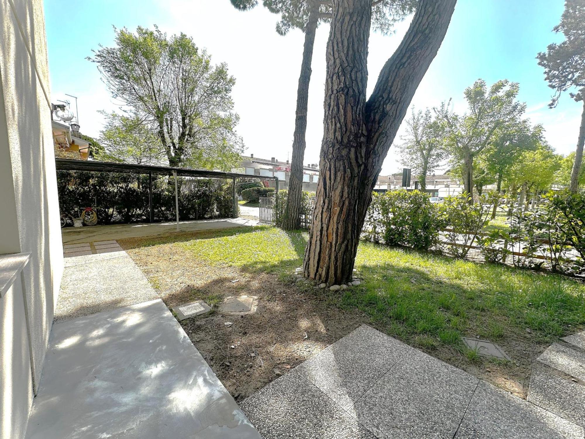 Apartment Belvedere -